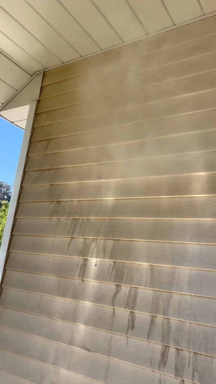 Vinyl siding soft wash lifting years of dirt